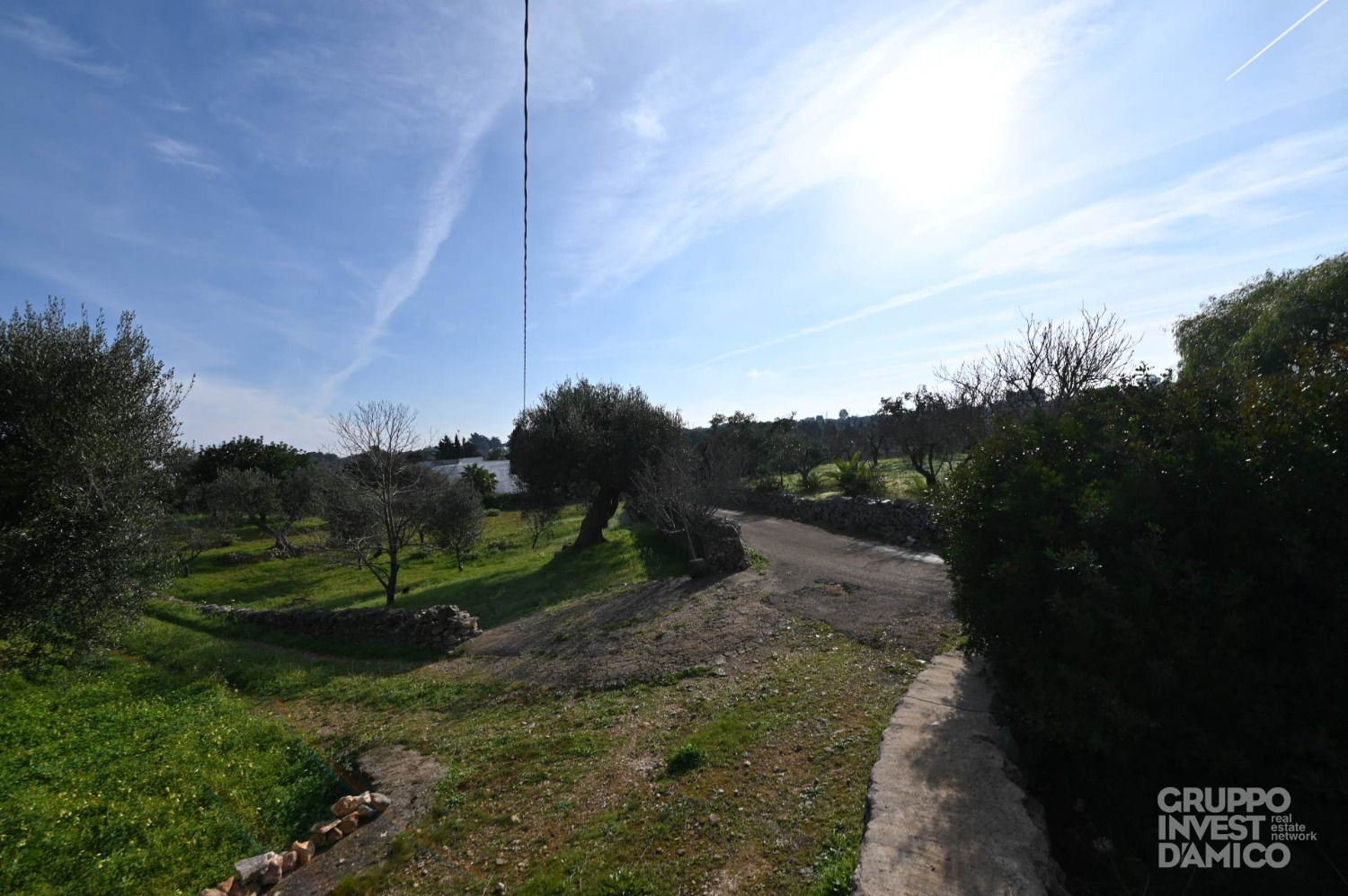 immagine annuncio 2 di 6