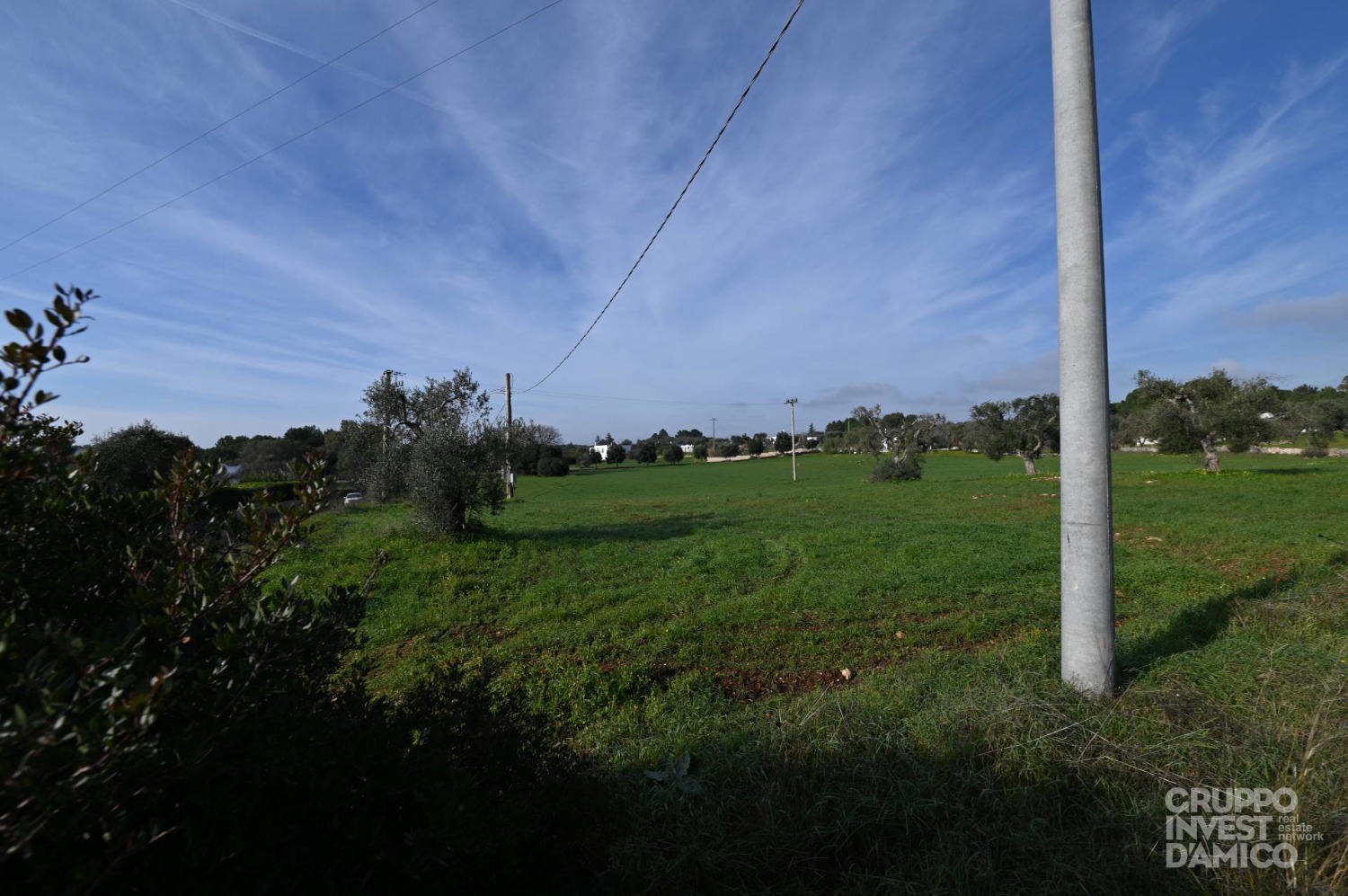 immagine annuncio 3 di 6