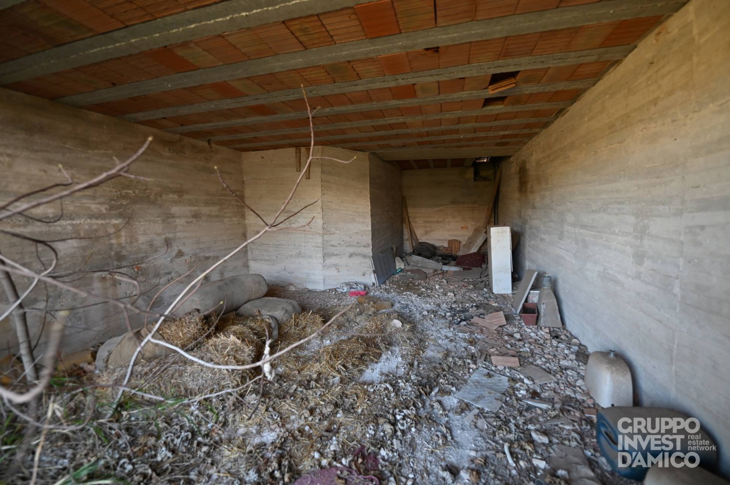 immagine annuncio 10 di 14