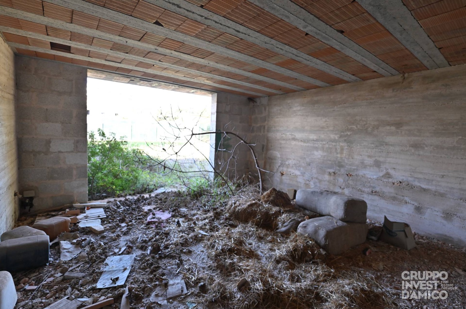 immagine annuncio 11 di 14