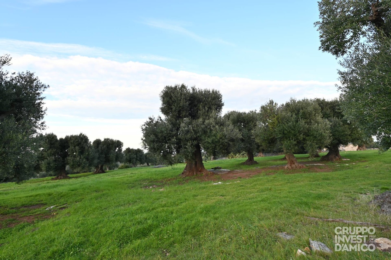 immagine annuncio 3 di 6