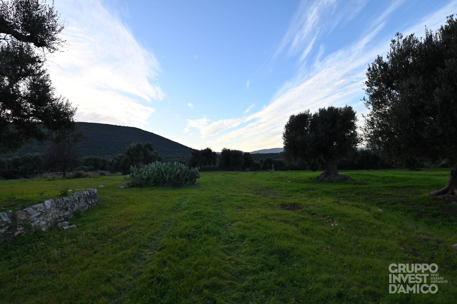 immagine annuncio 4 di 6