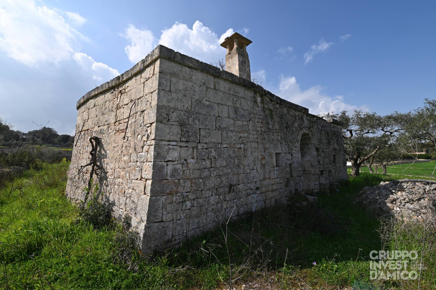 immagine annuncio 6 di 10
