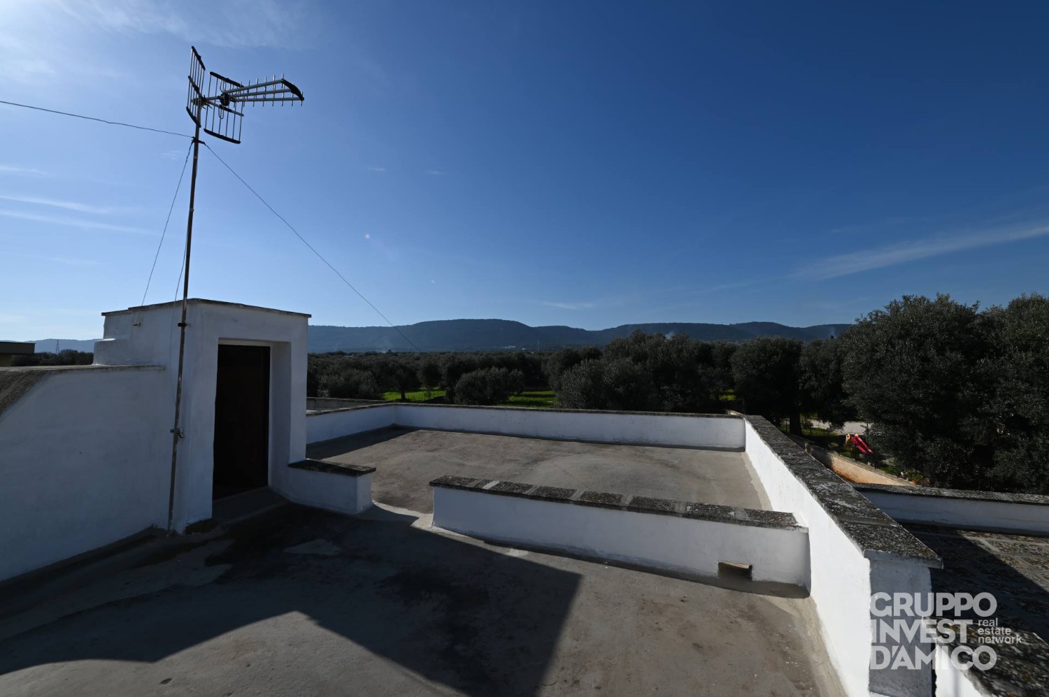 immagine annuncio 10 di 14