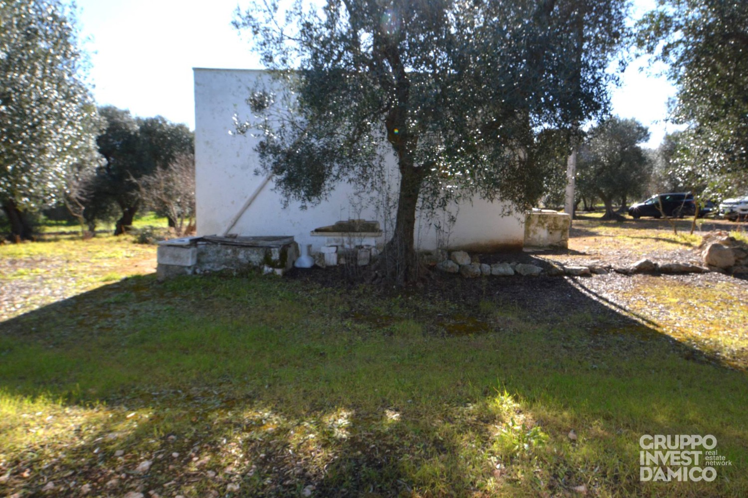 immagine annuncio 3 di 9