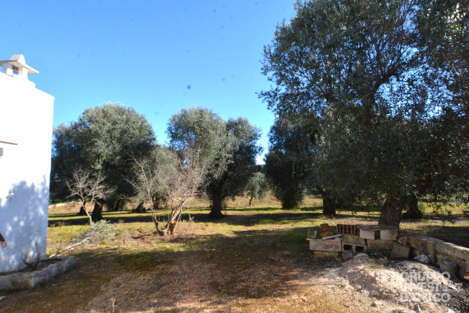 immagine annuncio 4 di 9