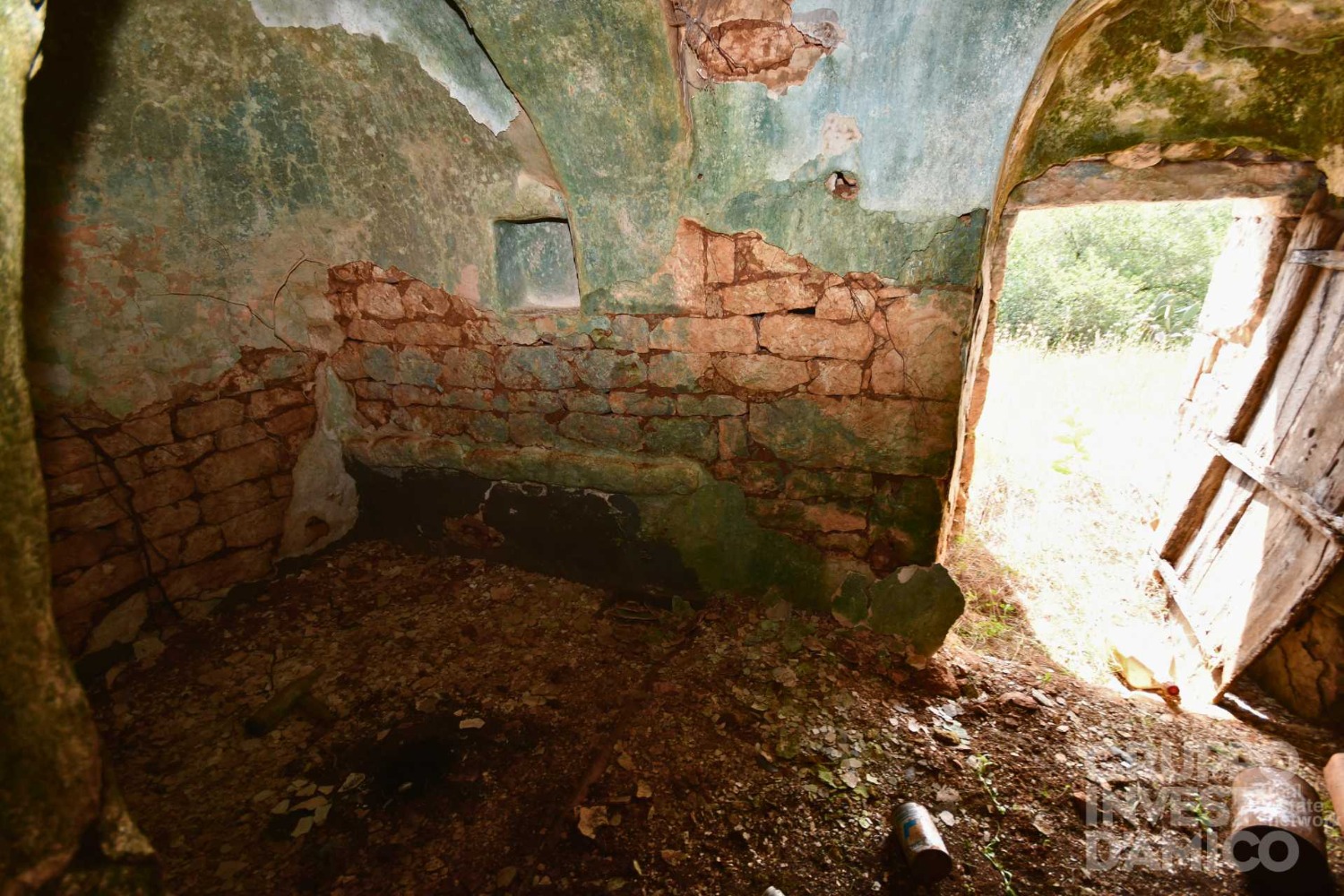 immagine annuncio 3 di 12