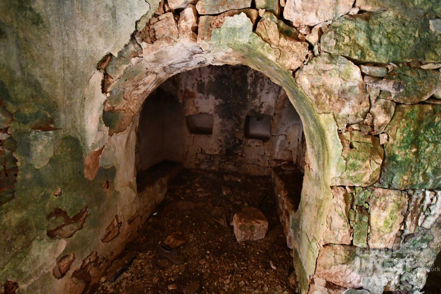 immagine annuncio 4 di 12