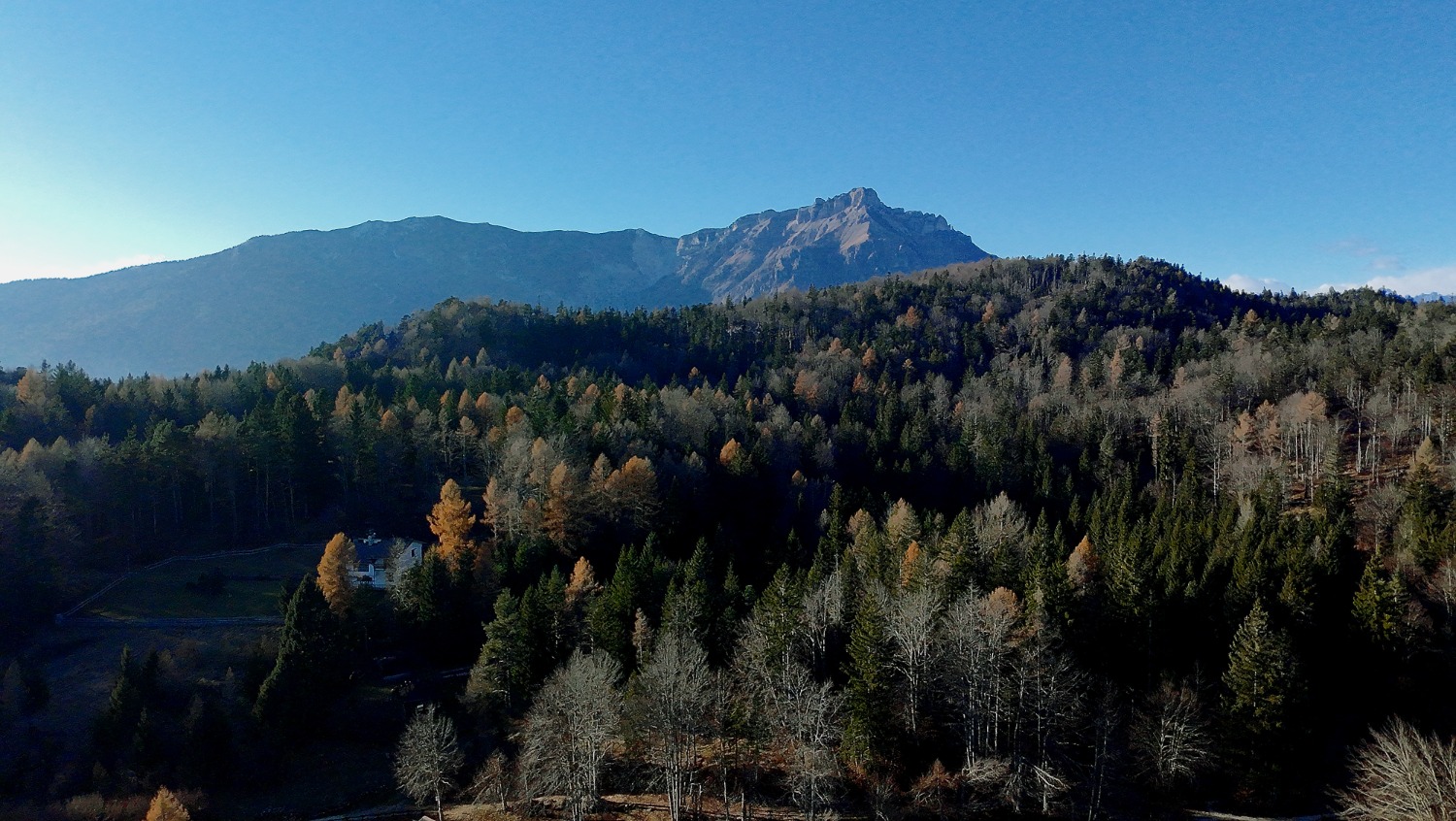 immagine annuncio 5 di 12