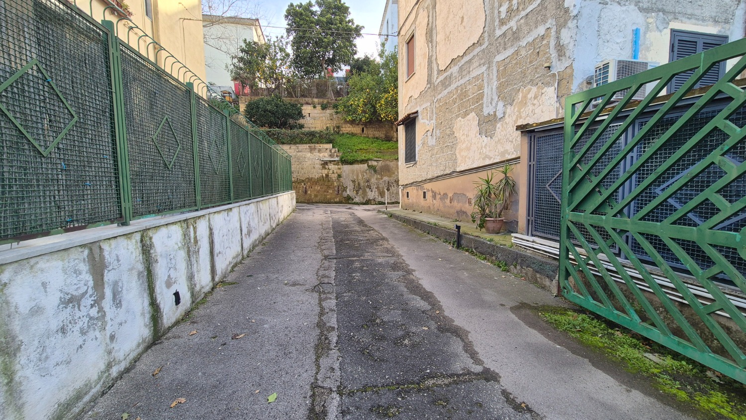 immagine annuncio 3 di 13