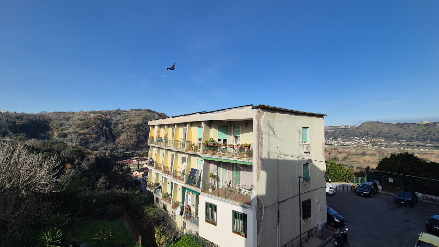 immagine annuncio 10 di 13