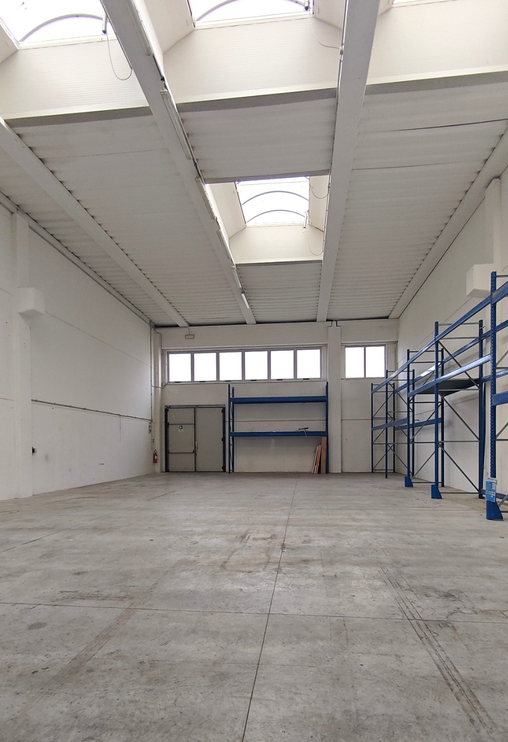 immagine annuncio 9 di 12