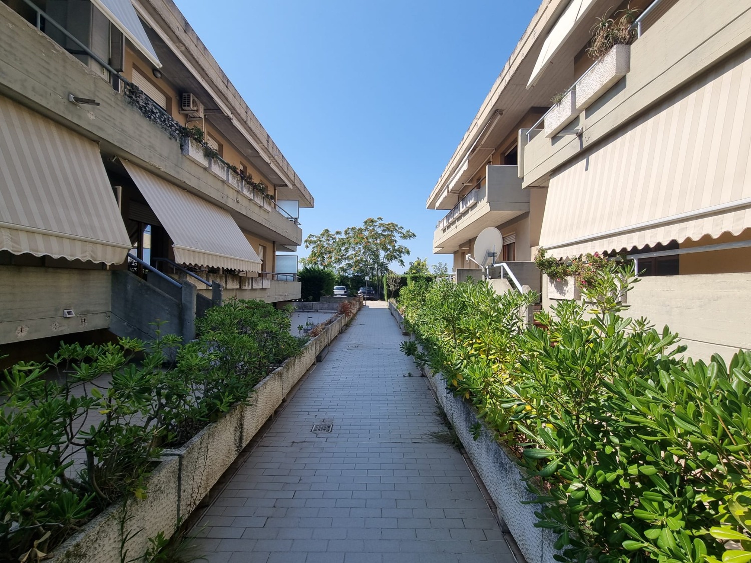 immagine annuncio 2 di 13