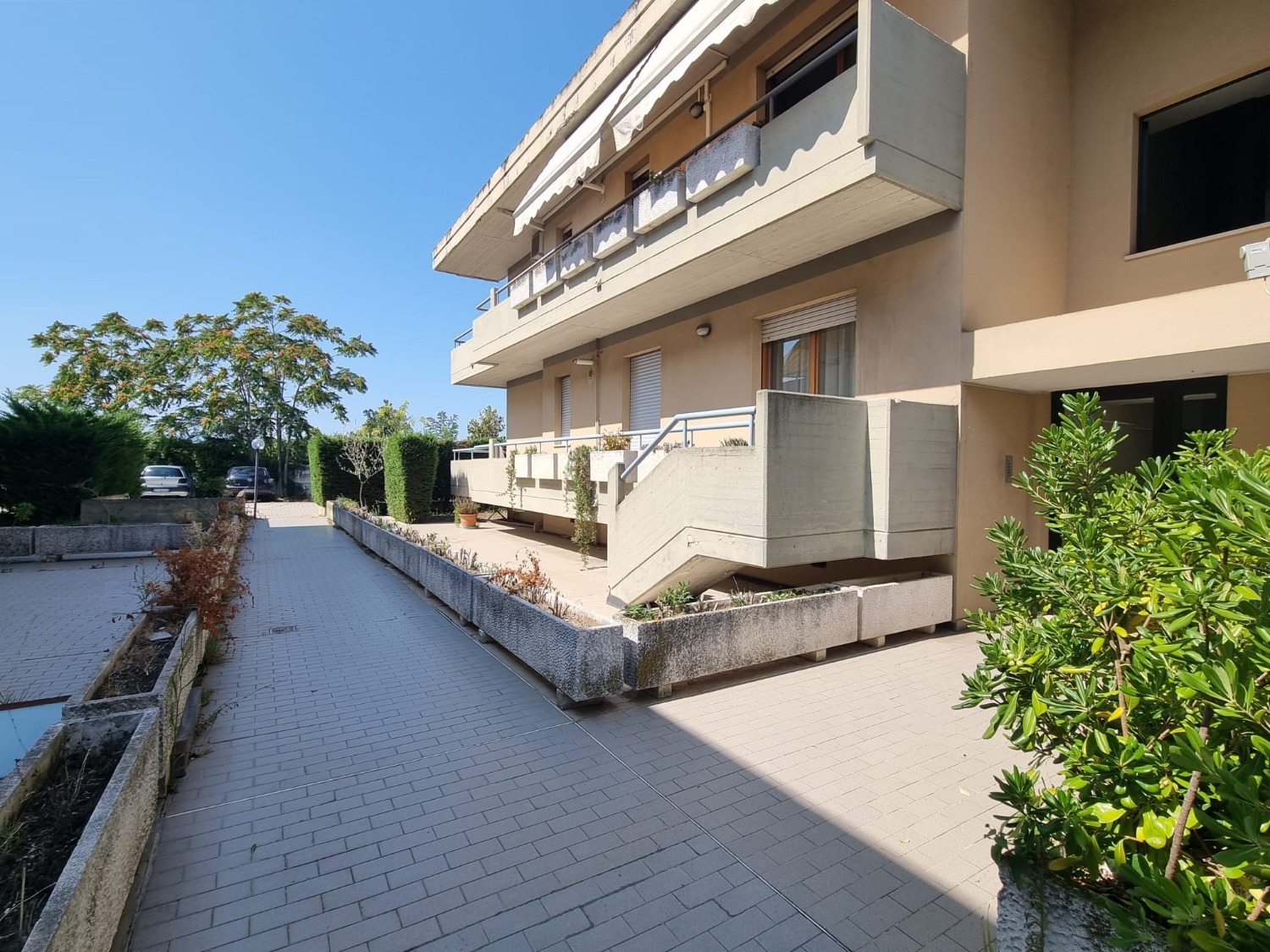 immagine annuncio 3 di 13