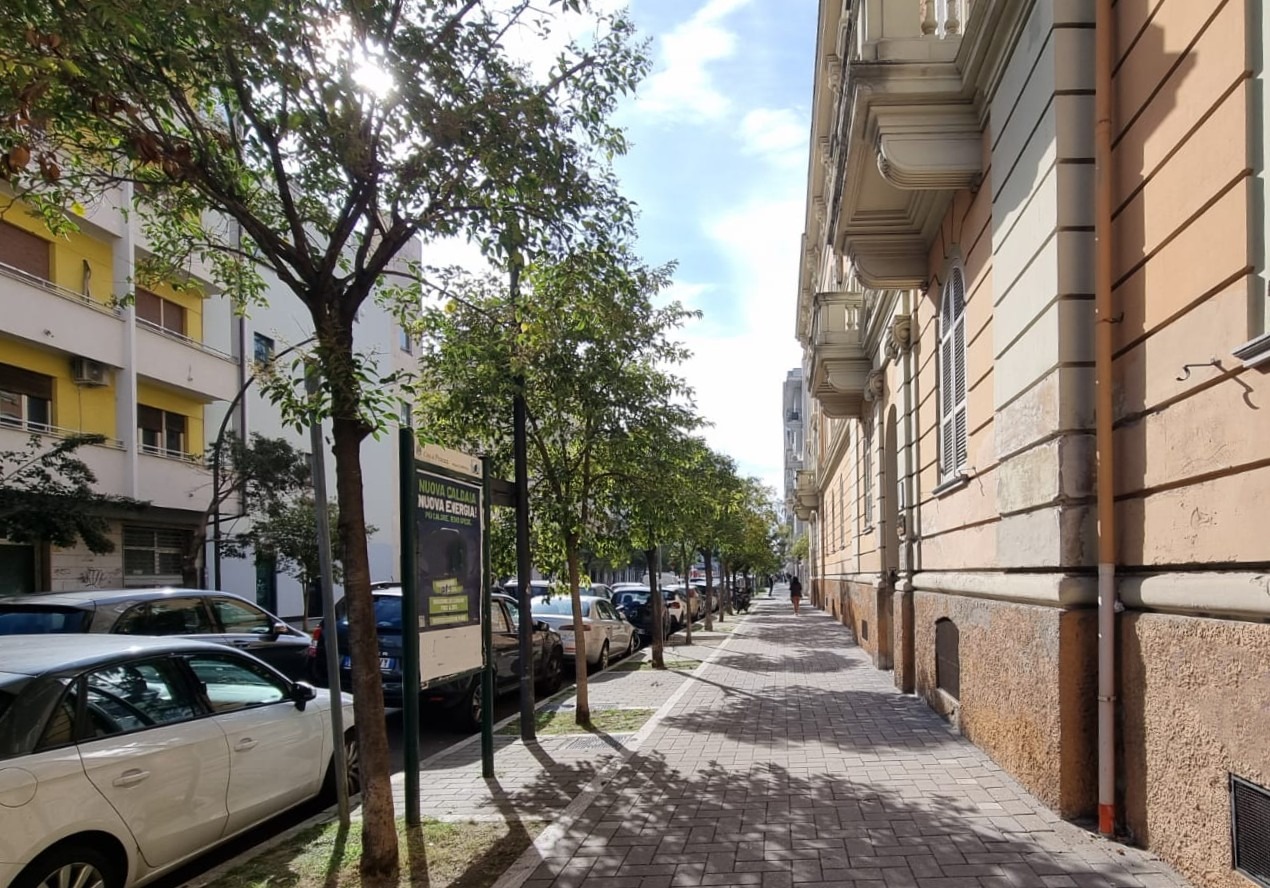 immagine annuncio 4 di 13