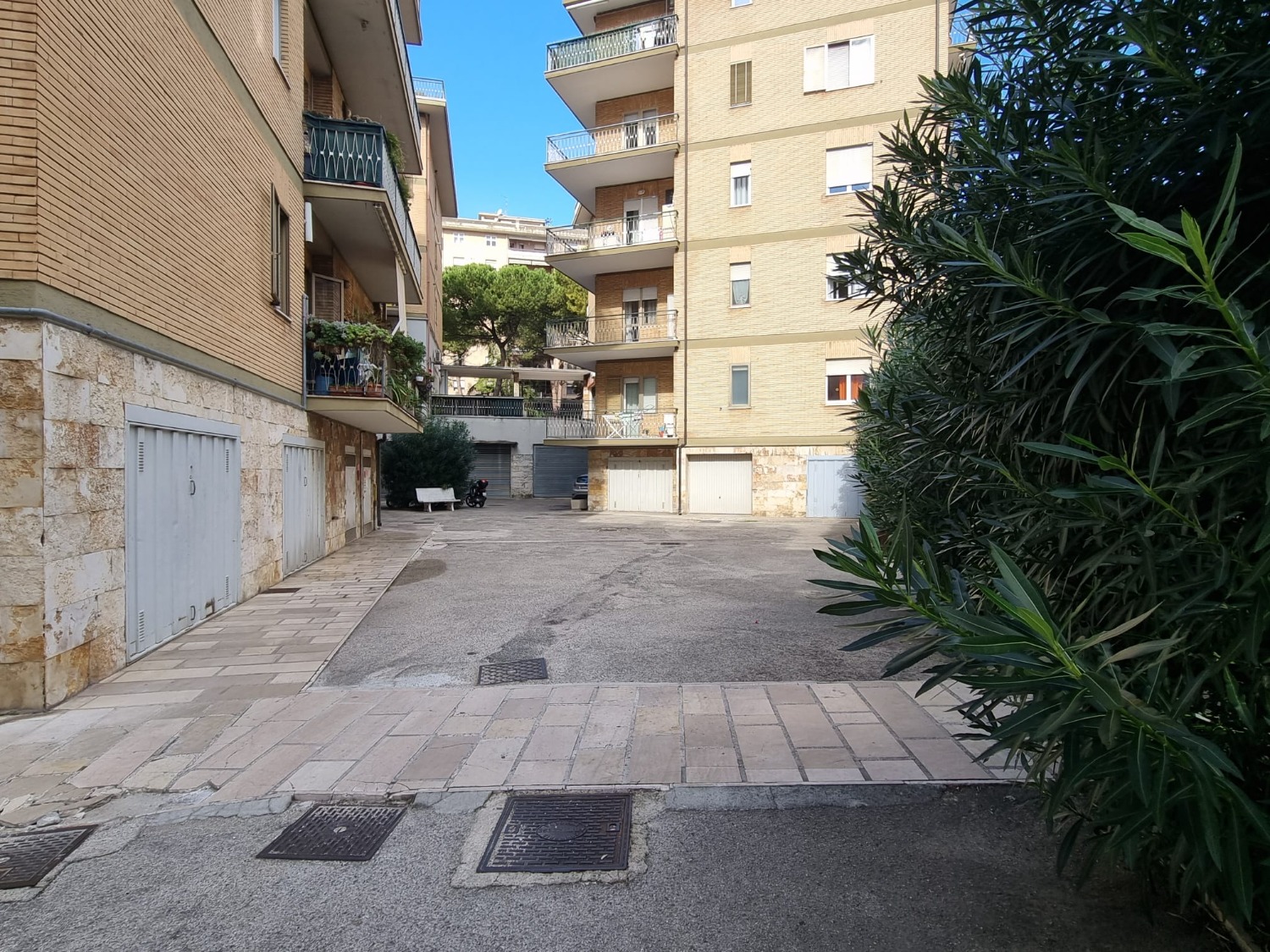 immagine annuncio 1 di 13