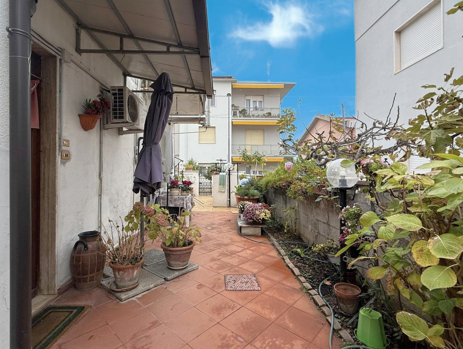 immagine annuncio 5 di 13