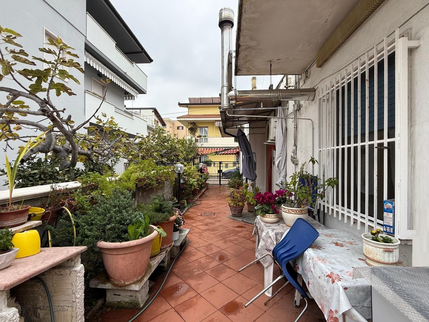 immagine annuncio 6 di 13