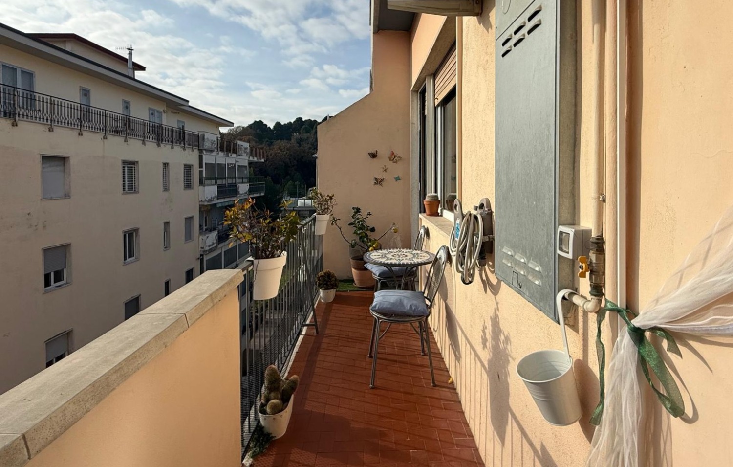 immagine annuncio 9 di 13