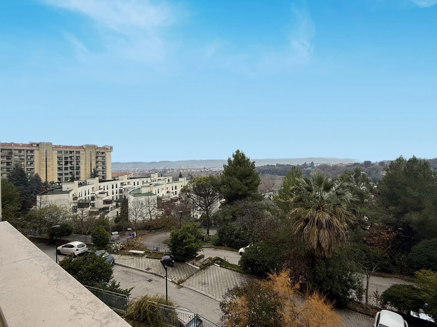 immagine annuncio 5 di 12