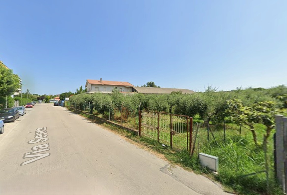 immagine annuncio 2 di 7