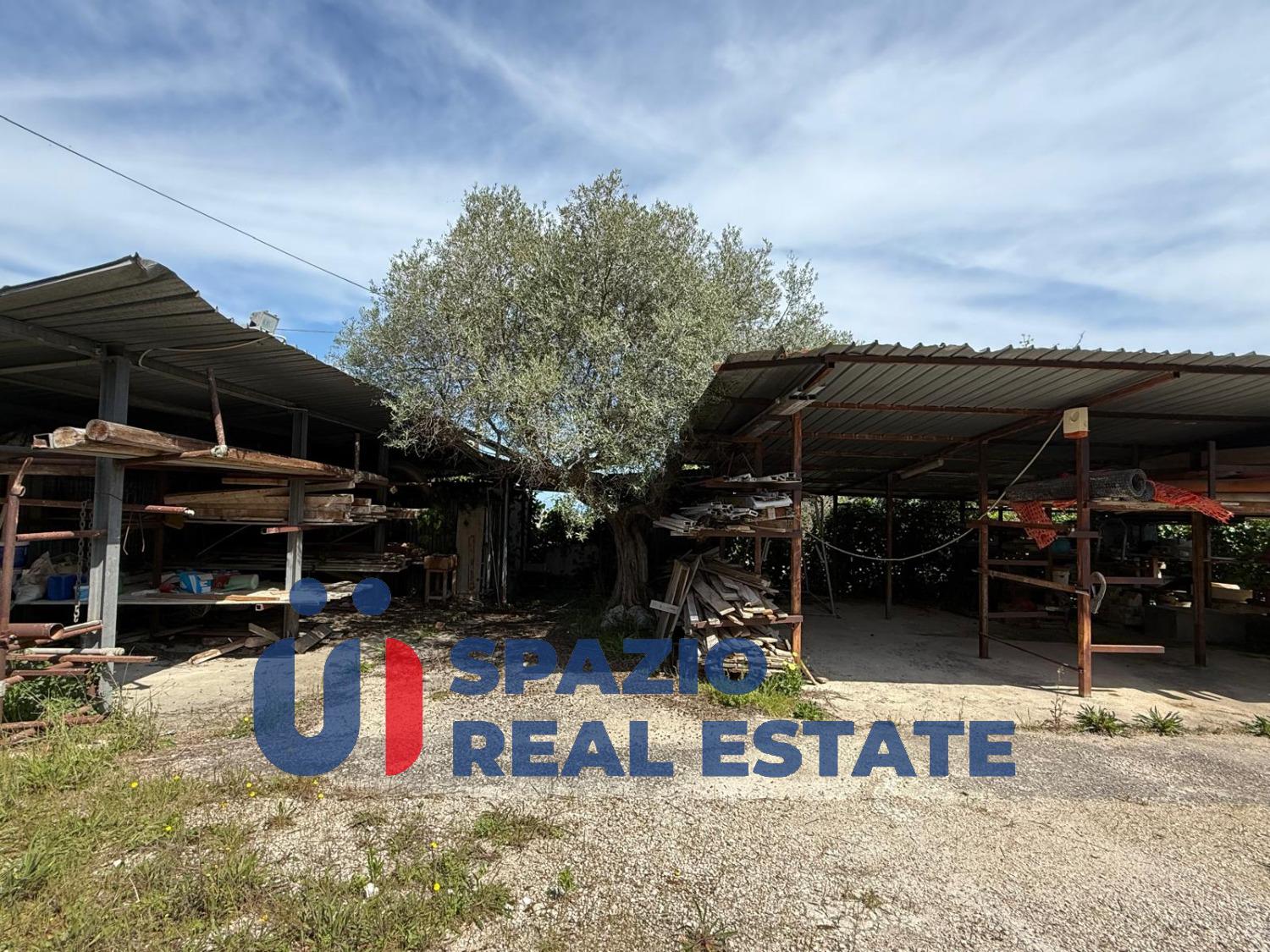 immagine annuncio 2 di 6