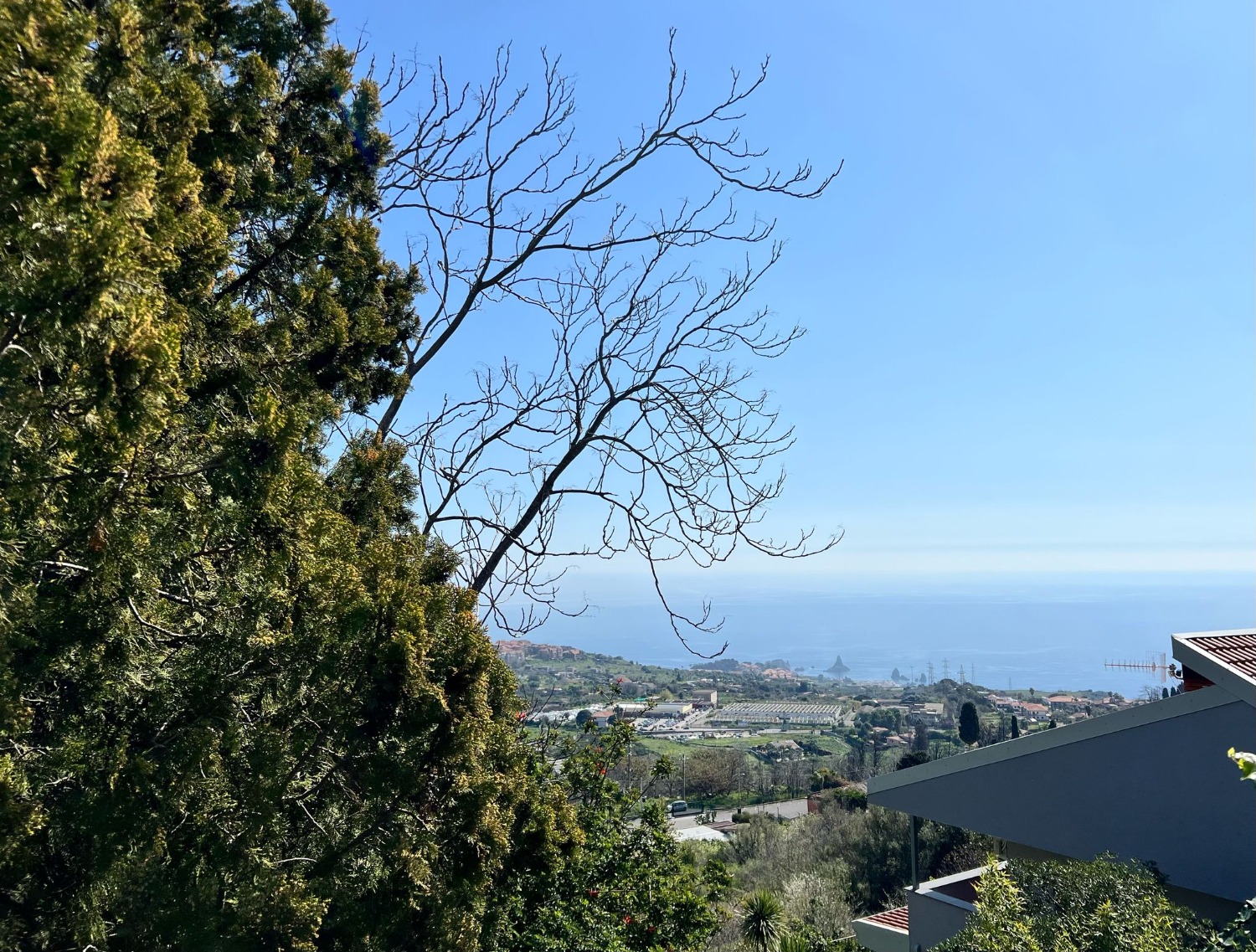 annuncio-1
